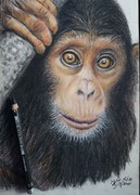 Farbige Graphitzeichnung