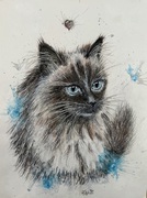 Aquarell Mischtechnik