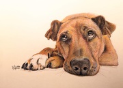 Farbige Graphitzeichnung 