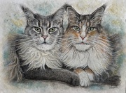 Aquarell Mischtechnik