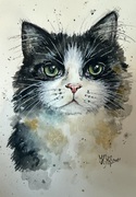 Aquarell Mischtechnik