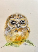 Aquarell
