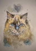 Aquarell