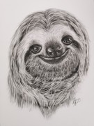 Graphitzeichnung