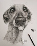 Graphitzeichnung