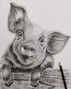 Graphitzeichnung