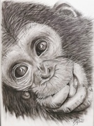 Graphitzeichnung