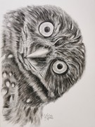 Graphitzeichnung