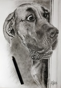 Graphitzeichnung