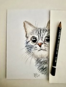 Graphitzeichnung 
