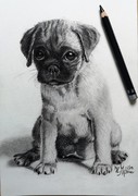 Graphitzeichnung