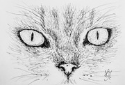 Graphit Studie