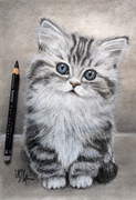 Graphitzeichnung