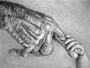Graphitzeichnung